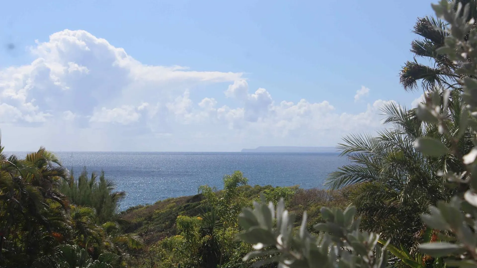 Iguane House Villas & Micro Spa Sainte-Anne