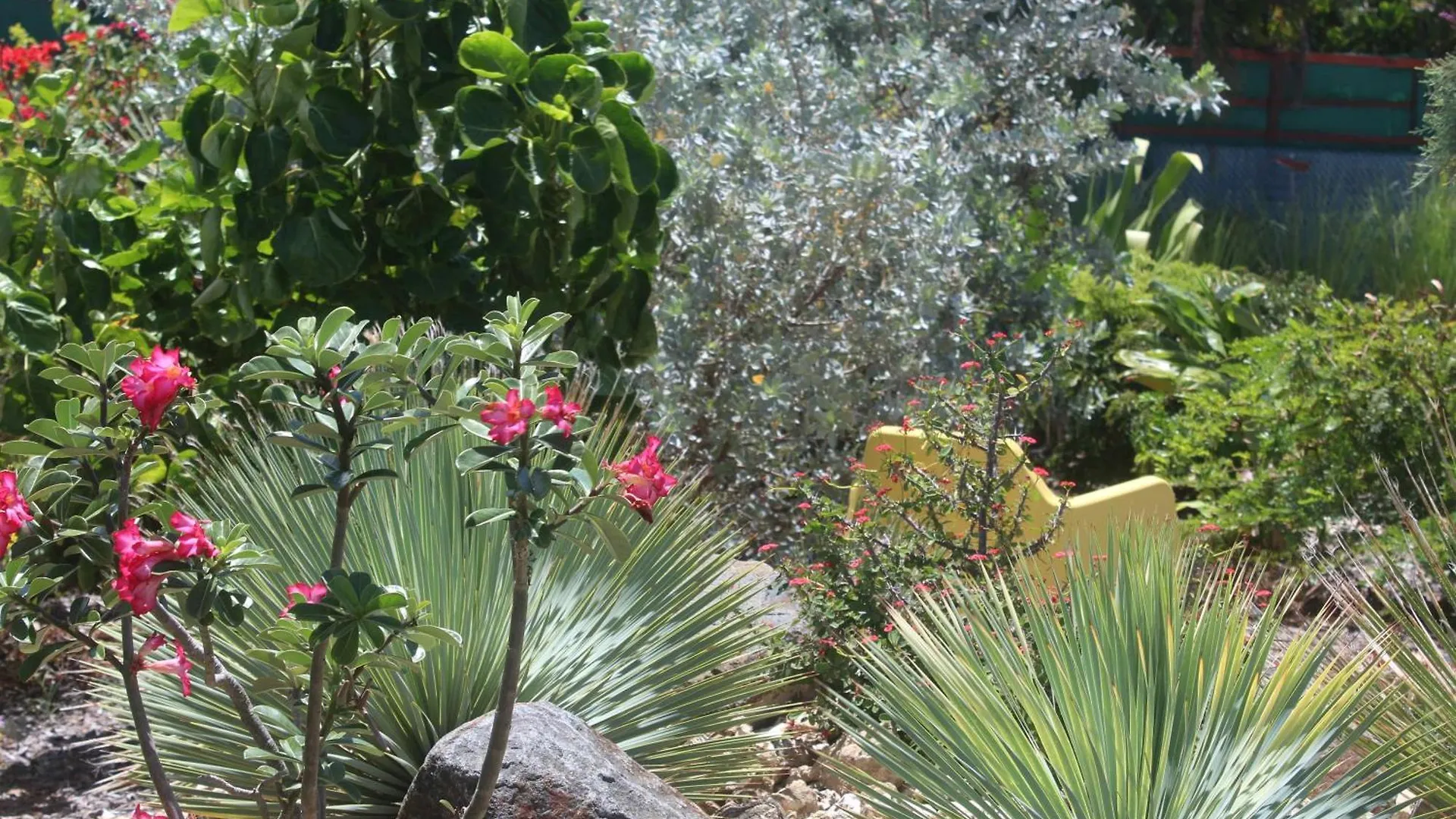 Iguane House Villas & Micro Spa Sainte-Anne Guadeloupe