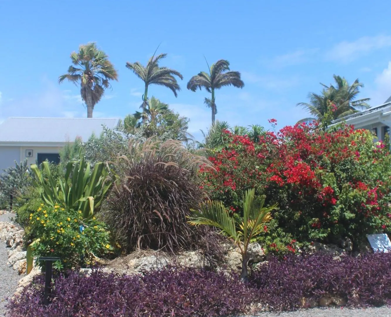 Iguane House Villas & Micro Spa Sainte-Anne