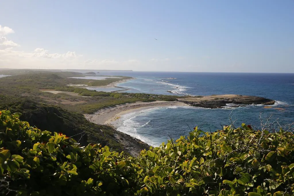 Iguane House Villas & Micro Spa Sainte-Anne 0*,