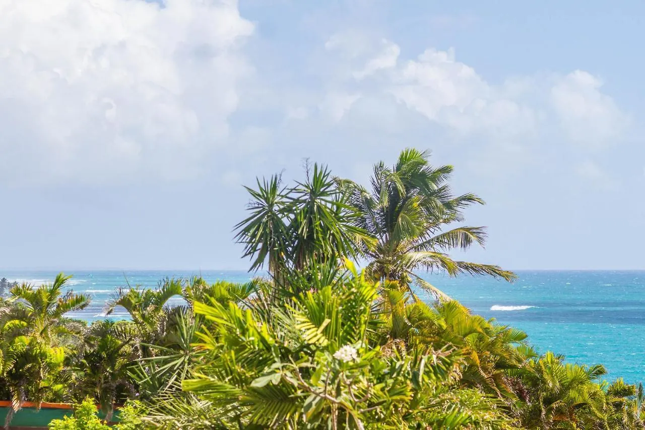 Iguane House Villas & Micro Spa Sainte-Anne Guadeloupe