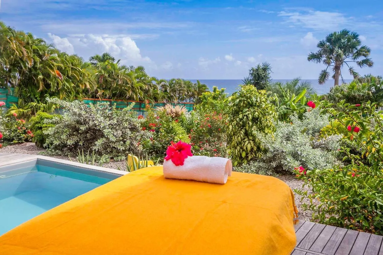 Iguane House Villas & Micro Spa Sainte-Anne  Guadeloupe