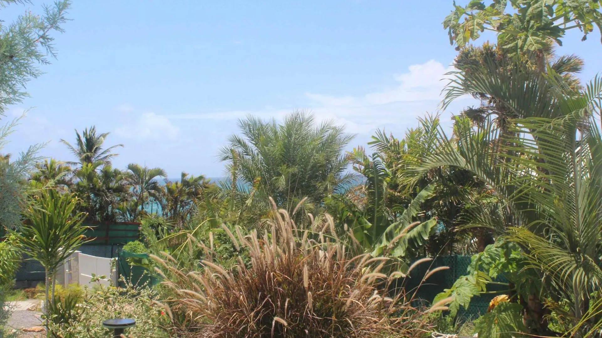 Iguane House Villas & Micro Spa Sainte-Anne   Sainte-Anne (Grande-Terre)