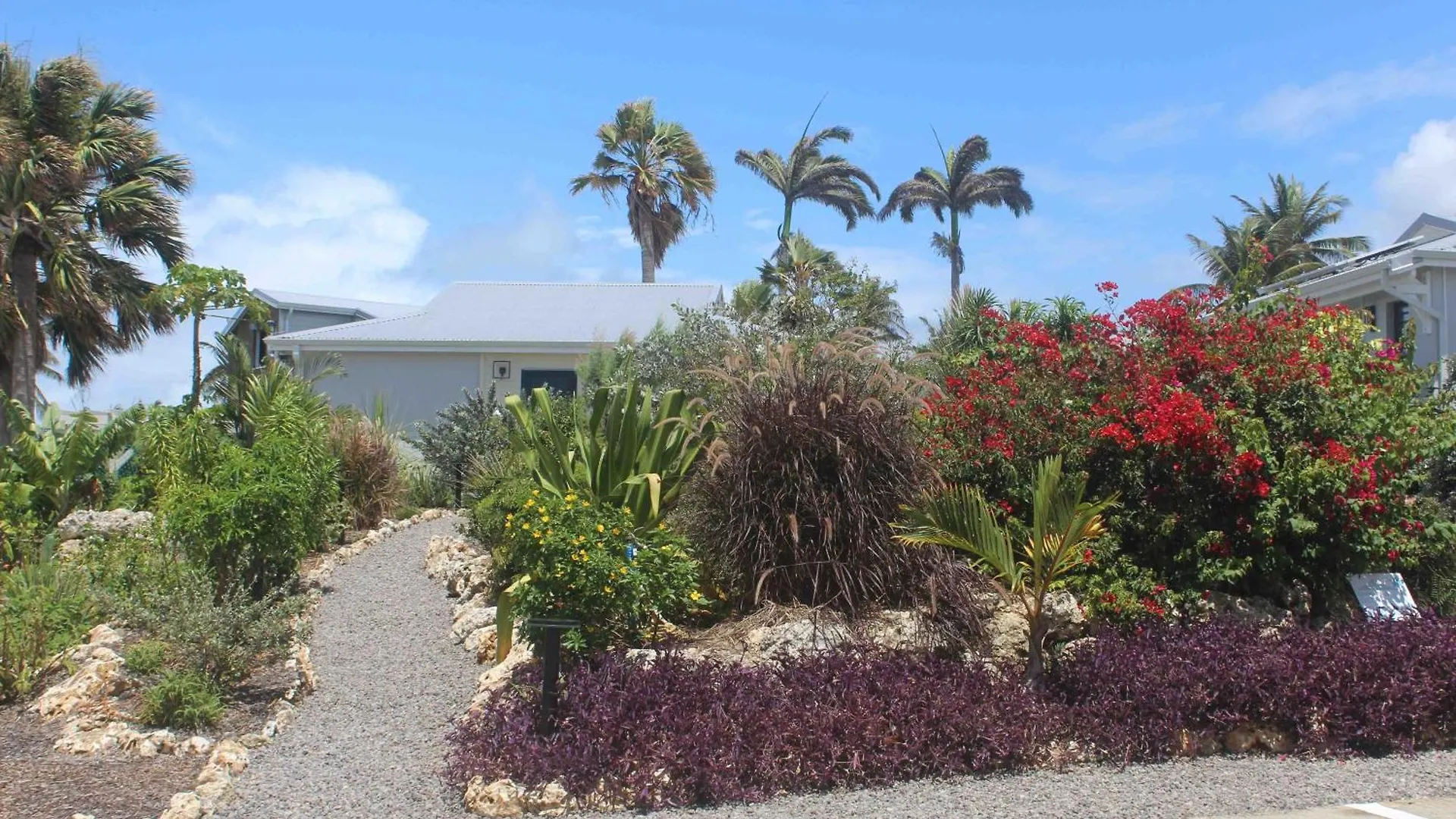 Iguane House Villas & Micro Spa Sainte-Anne