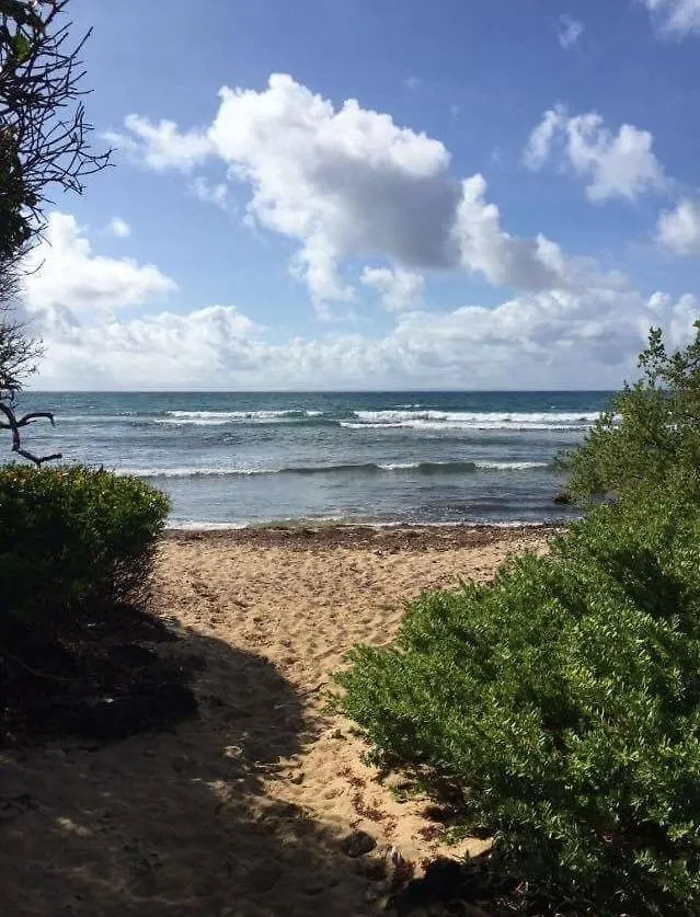 Iguane House Villas & Micro Spa Sainte-Anne  Guadeloupe