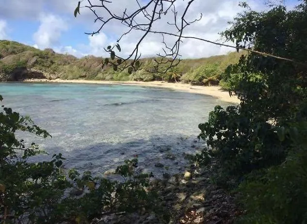 Iguane House Villas & Micro Spa Sainte-Anne