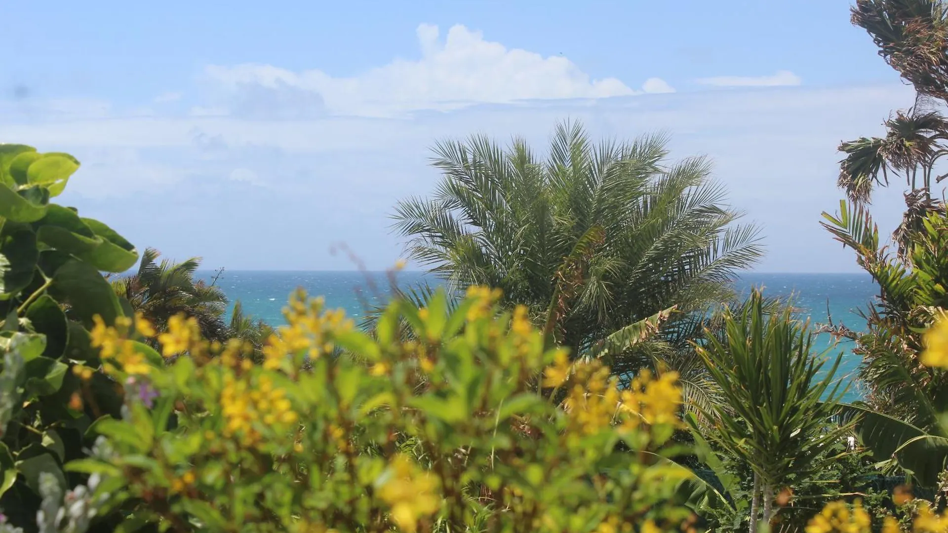 Iguane House Villas & Micro Spa Sainte-Anne  Sainte-Anne (Grande-Terre)