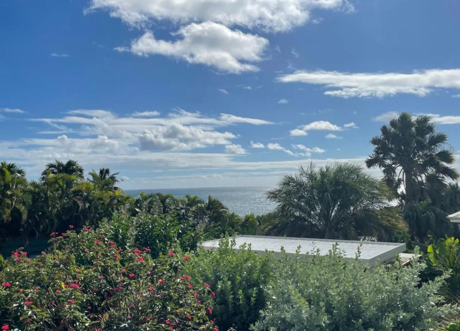 Iguane House Villas & Micro Spa Sainte-Anne
