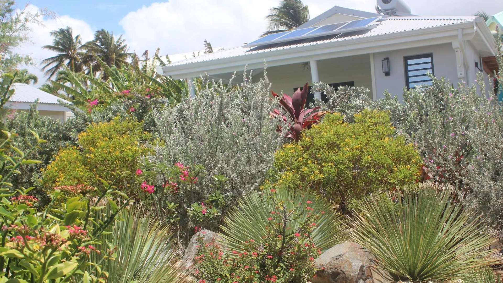 Iguane House Villas & Micro Spa Sainte-Anne  0*, Sainte-Anne (Grande-Terre)